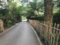 -法云安缦酒店