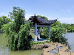 -八大山人梅湖景区