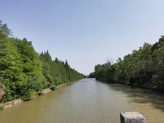 -上海海湾国家森林公园