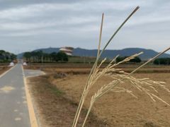 -光明小镇欢乐田园