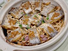 沙锅焗带鱼-高佳庄·舟山海鲜(海景旗舰店)