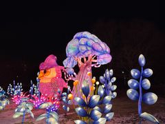 -沈阳奥体冰雪嘉年华