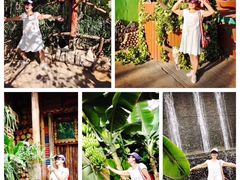-呀路古热带植物园