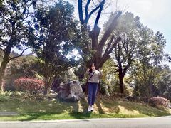 -南京银杏湖乐园