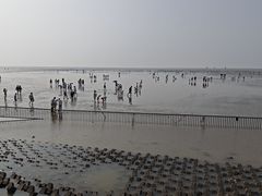-奉贤海滩