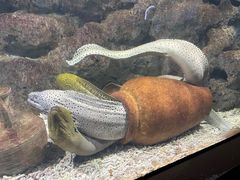 -福州罗源湾海洋世界旅游区