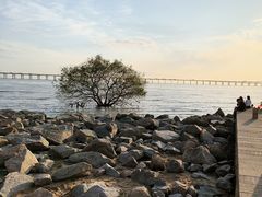 -宝安西湾红树林湿地公园