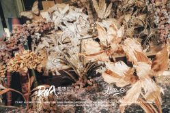 -DNA Wedding 婚礼记(上海店)