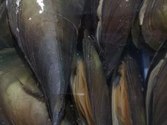 -清水湾3号(东方小周海鲜店)