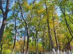 -天鹅湖体育公园