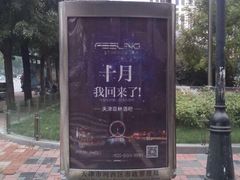 -Dr.Feeling 菲林酒吧(天津店)