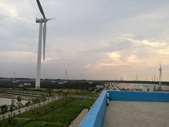 -黄海国家森林公园