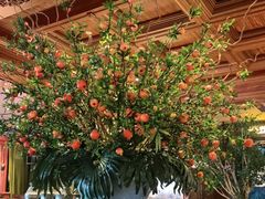 -八府香鸭·啫啫煲(华山路店)