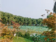 -西安浐灞国家湿地公园