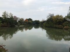 -桃花岛景观公园