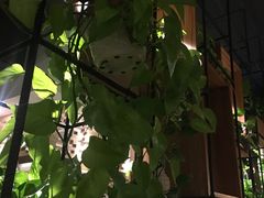 -喜越泰莱·泰越料理(海逸新天地店)