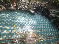 -大鹅岛绿色生态美食园