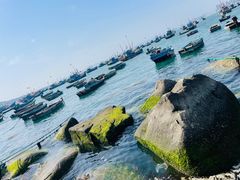 -海源公园