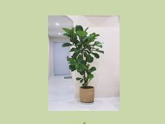 -echoes coffee回响咖啡(红山店)