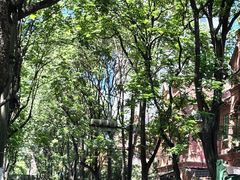 -云阿蛮云南生烫牛肉米线(奉贤路店)