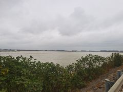 -瑶湖郊野森林公园