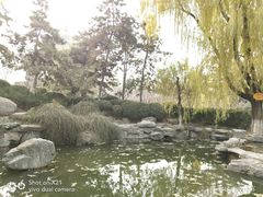 -西安青龙寺遗址景区