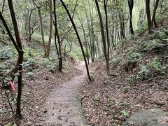 -午潮山国家森林公园
