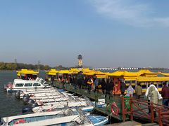 -溱湖国家湿地公园