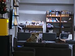 -YCHL Studios健身工作室(市二宫店)