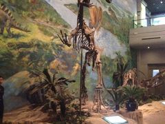 -自贡恐龙博物馆