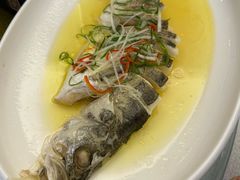 -老东吴食府(雅都店)