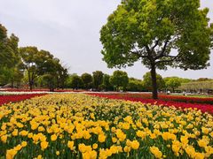 -大宁公园