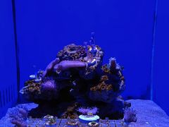 -青岛海底世界-水族馆
