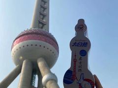 -东方明珠广播电视塔