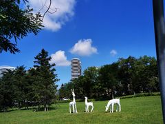 -东戴河风景区