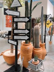 -好看加白色房子