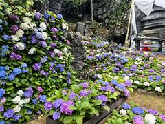 -梭布垭石林景区