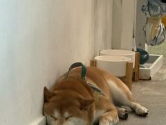 -三目仓咖啡(贤南路店)