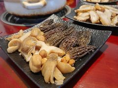 -蘑统田下·野生菌火锅