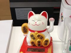 -美联众合爱康动物医院•复杂内科•肿瘤科•牙科•腔镜诊疗中心