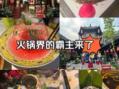 -小龙翻大江文化火锅(宽窄店)