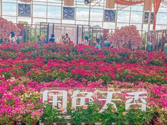 -盈香心动乐园