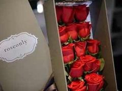 -ROSEONLY诺誓(国际广场购物中心店)