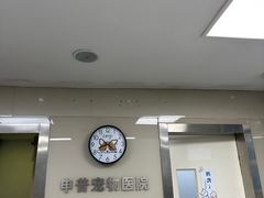 -申普宠物医院(总院)