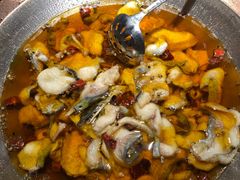 -雲蜀龙阁·金牌水煮鱼(方庄店)