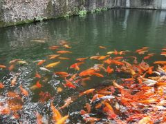 -千岛湖东南湖区