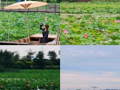 -东丽湖风景区