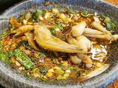 -耗儿鱼蛙蛙叫·老成都火锅(蛇口海昌街店)