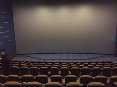 -纵横国际影城杜比全景声巨幕(天安云谷店)