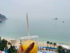 -大梅沙海滨公园